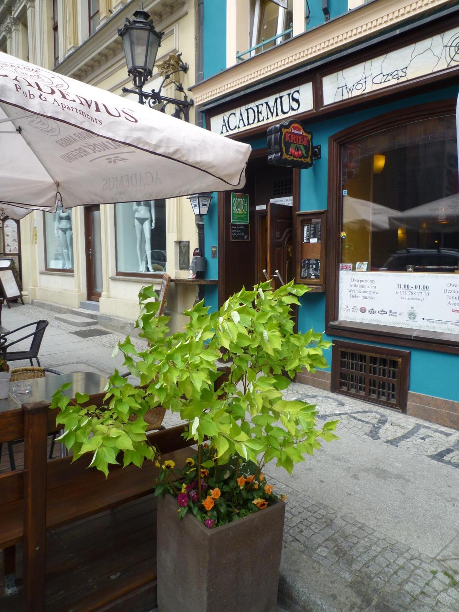 Academus Pub & Guest House Вроцлав Экстерьер фото